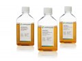 Improved transfection and production of your HEK cells