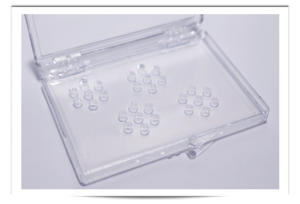 Immunodiffusions-(ID)-Test