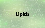 Lipids