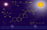 Metabolism assay kits