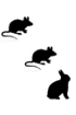 Mouse - Mouse - Rabbit