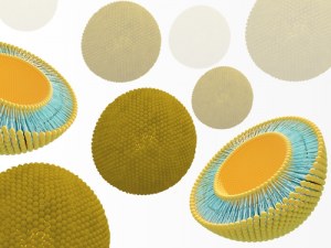 Lipid-Nanopartikel: Präzise Verabreichung für Therapien der nächsten Generation