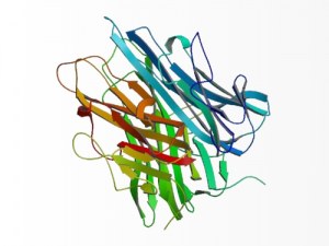 Die vielfältige Rolle von TNF-Alpha bei Krebs
