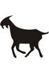 IHC Polymer-based detection kits - All tissues - Anti-Goat IgG