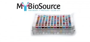 Erhalten Sie 20 % Rabatt auf alle MyBioSource-Produkte!