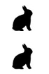 IHC detection kits - Double staining for mouse tissues anti-Rabbit IgG