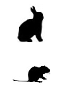 IHC detection kits - Double staining for mouse tissues anti-Rabbit and Rat IgG