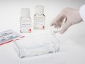 ReadyTector: the all-in-one solution for Western Blotting