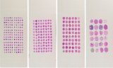 Paraffin Tissue Array
