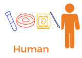 Customized Solutions for Human Healthy and Disease-State